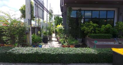 Bird Day Boutique Hotel