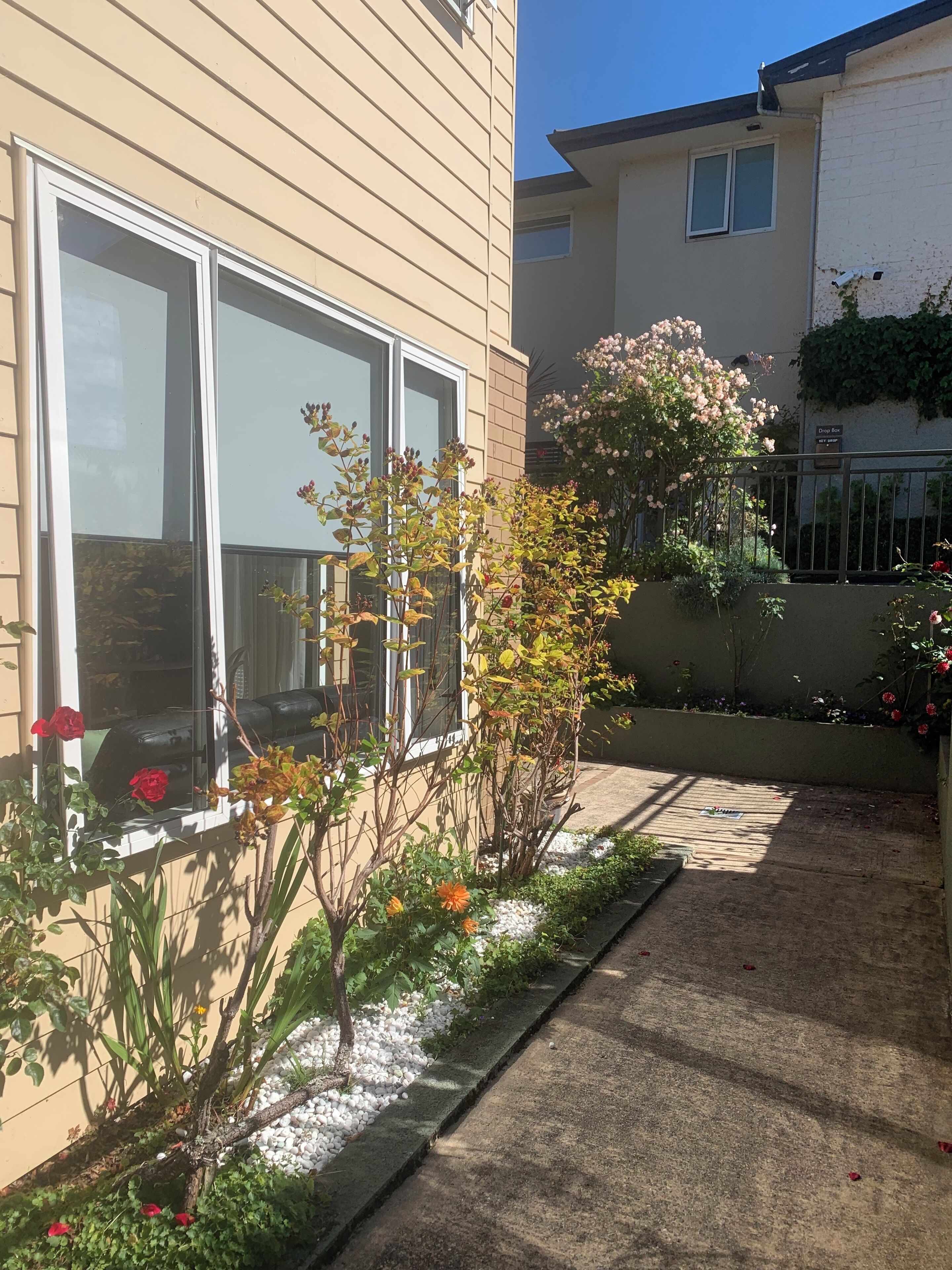 Een woongebouw met grote ramen, een tuin met verschillende planten en bloemen, en een betonnen pad.