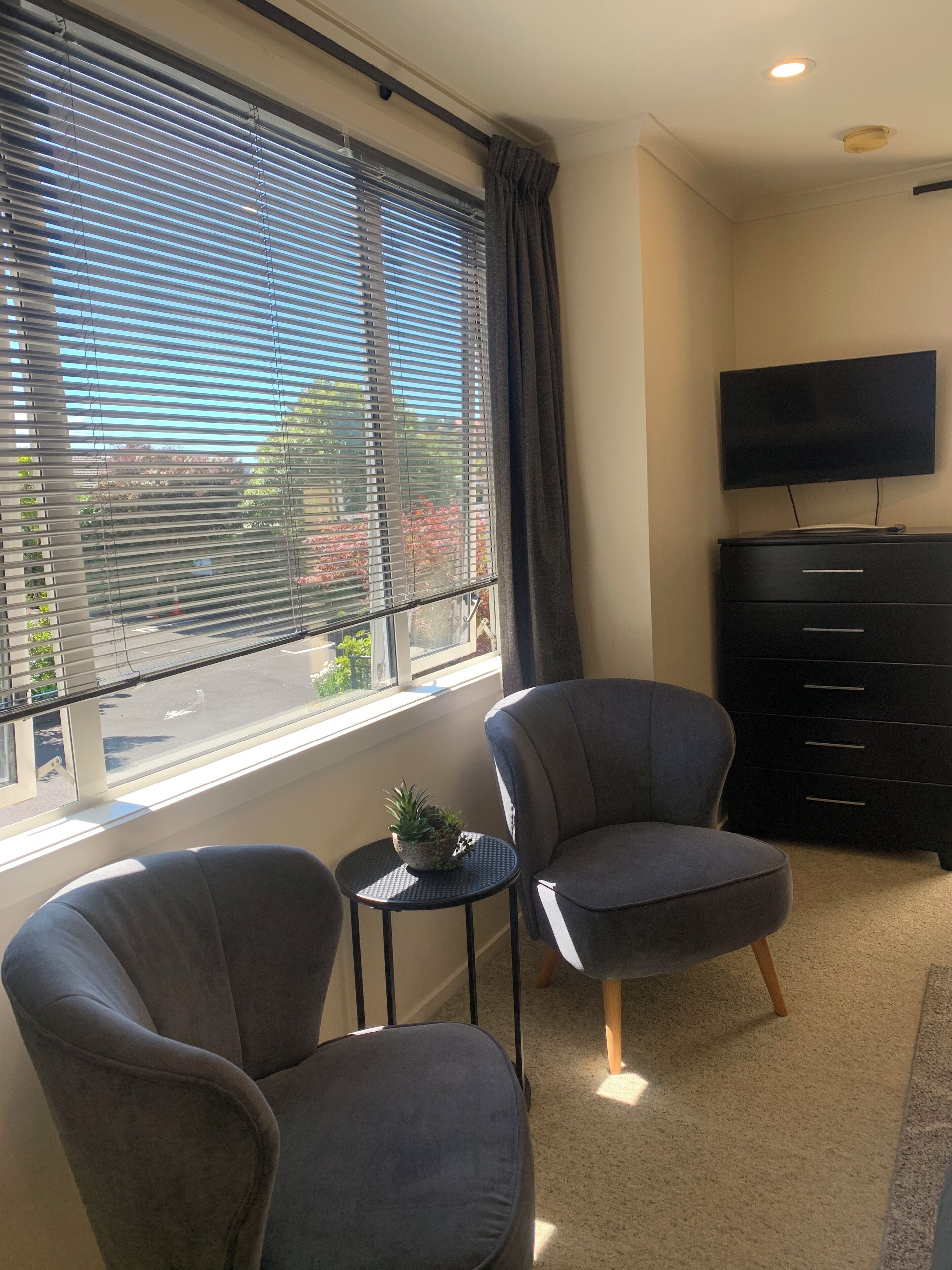 A living room with two grey armchairs, a small side table with a plant, a black TV stand, and a window with blinds.