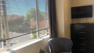 A living room with two grey armchairs, a small side table with a plant, a black TV stand, and a window with blinds.