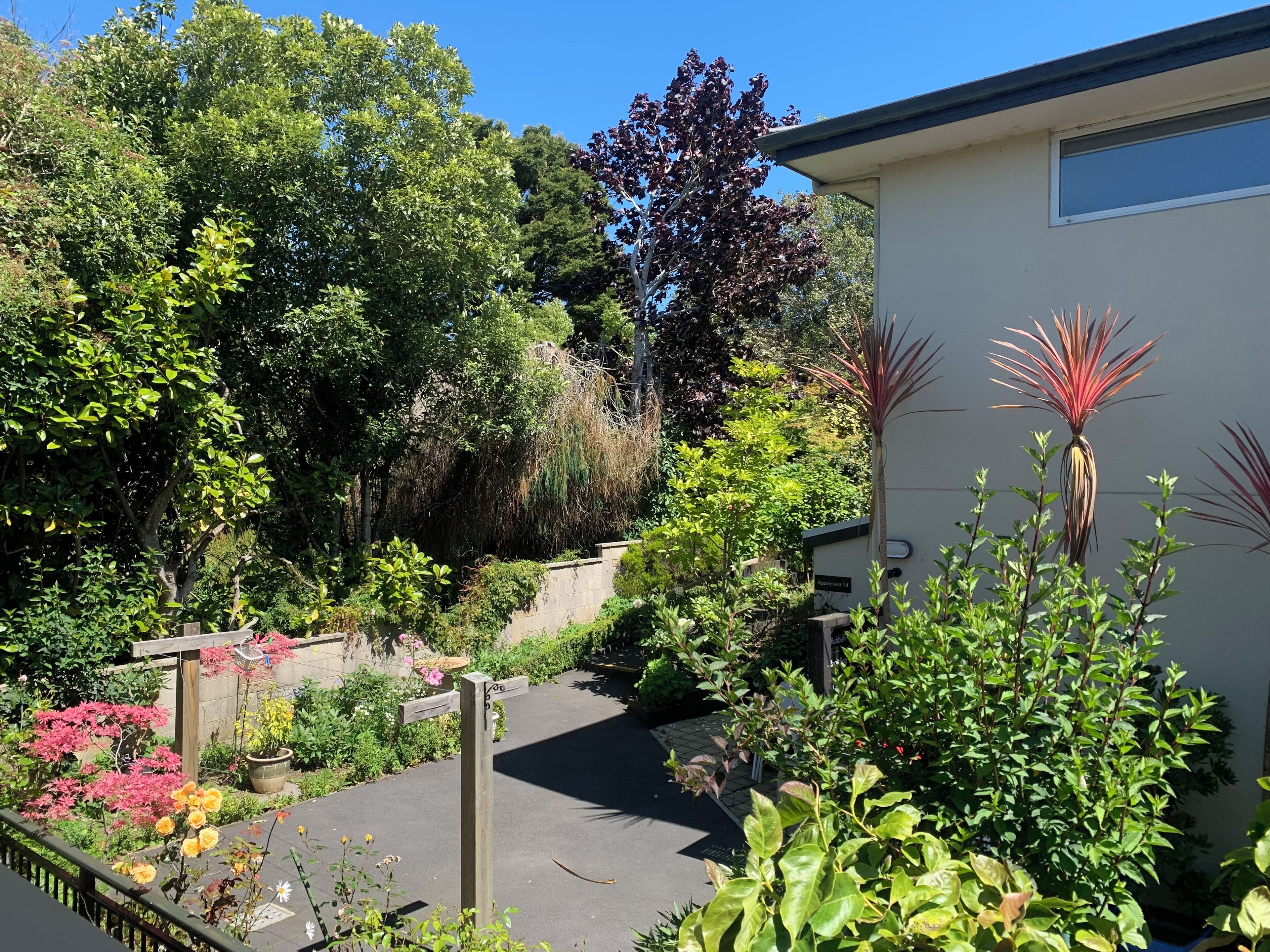 Studio Apartment - Balcony | View from room