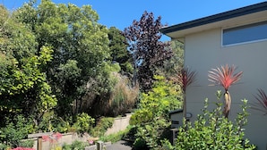 A garden with various plants and flowers, a pathway, and a building with a sign indicating 'Apartment 1B'.