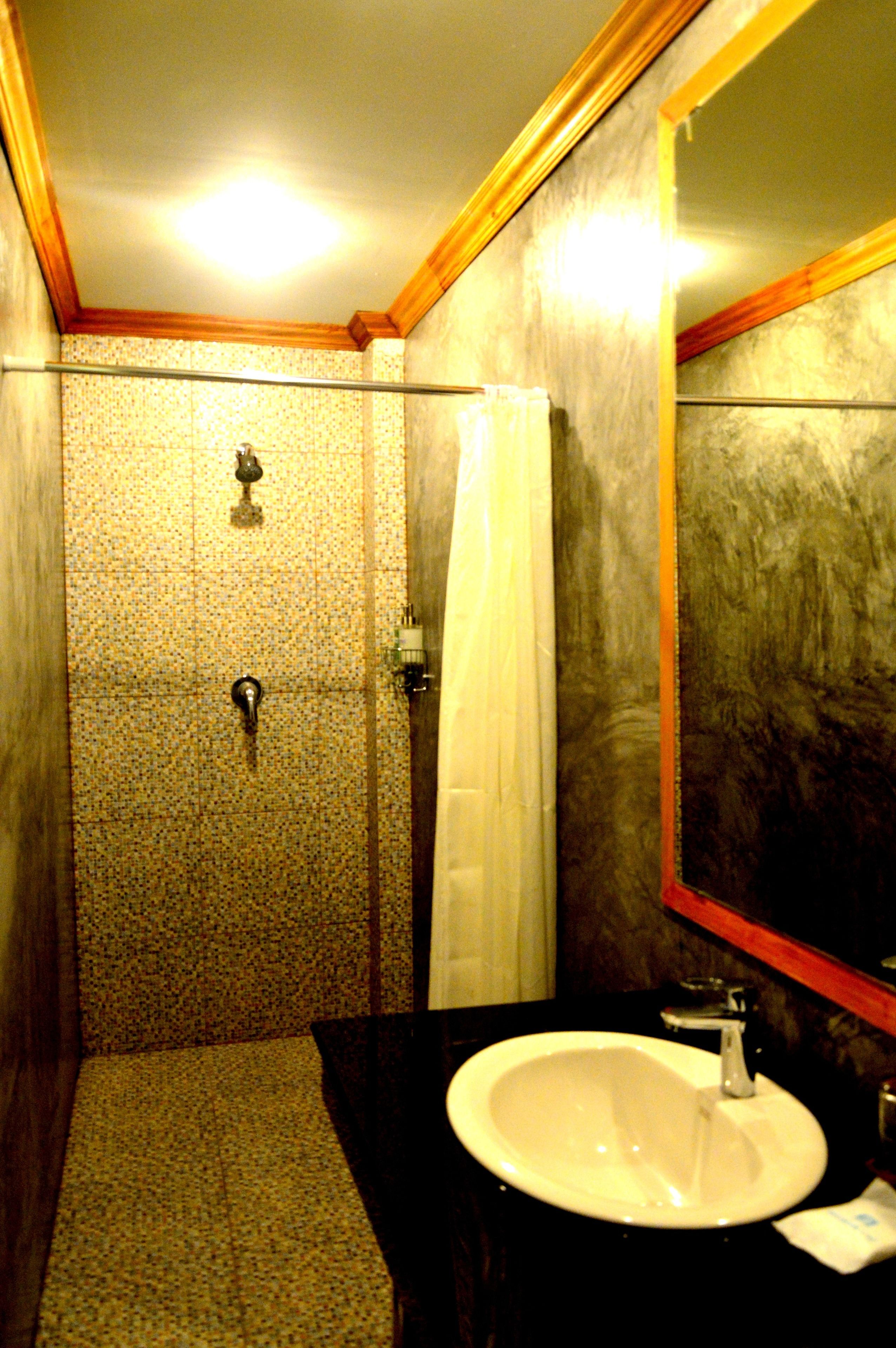 deluxe double room | bathroom | shower, free toiletries, hair dryer, towels