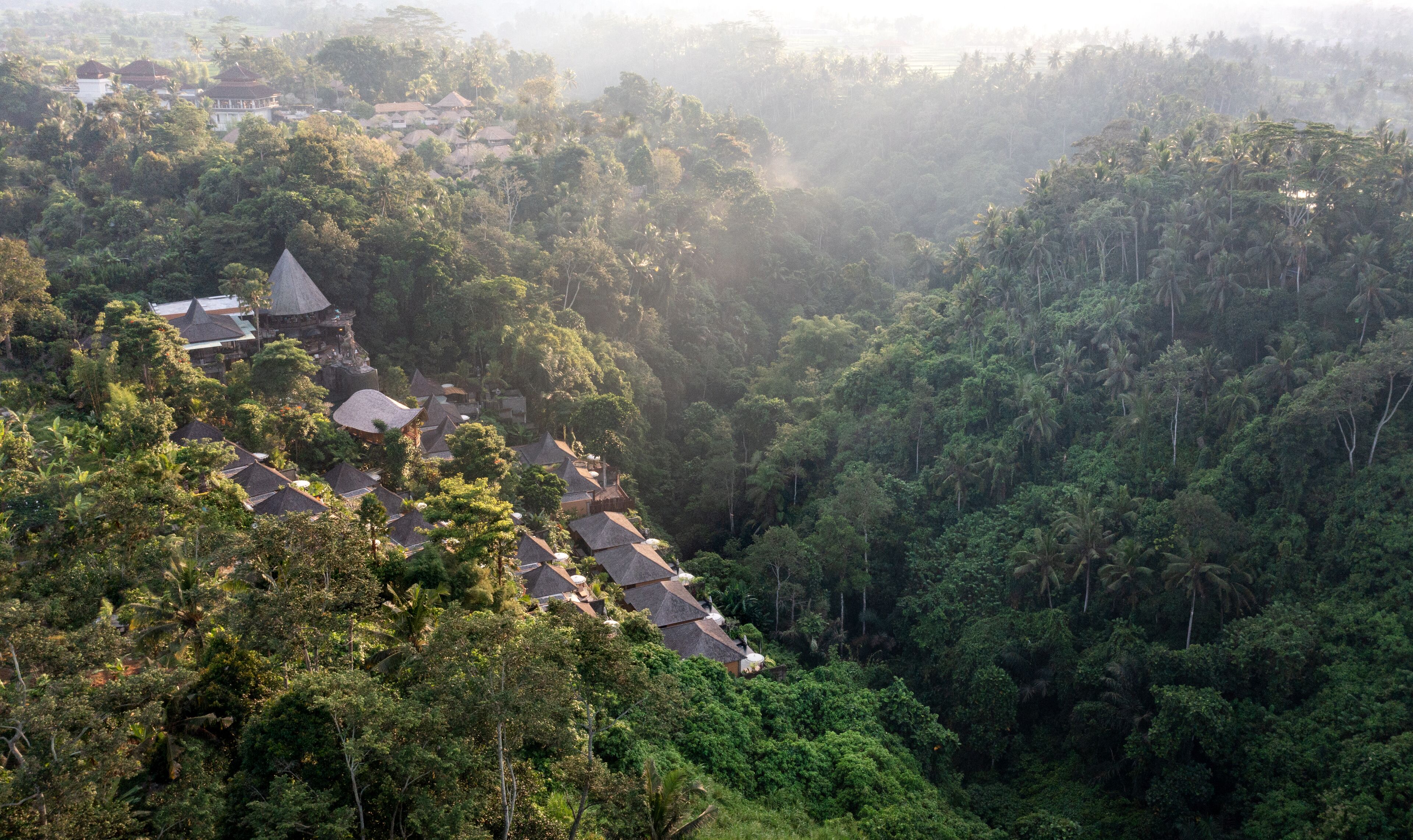 Un pueblo en una ladera con casas tradicionales de techo de paja, ubicado entre un bosque denso.