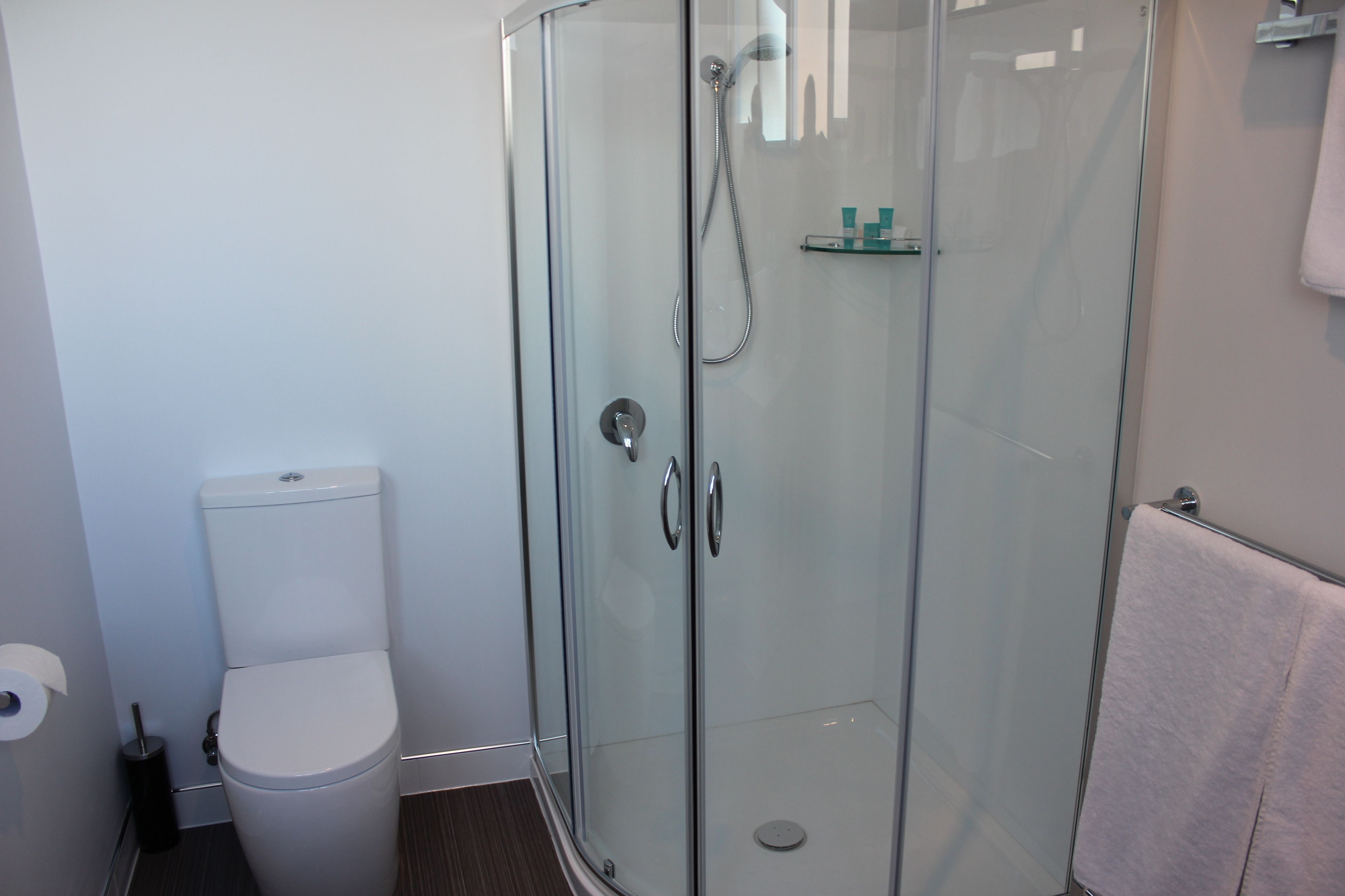 A glass-enclosed shower with a toilet and a towel rack.