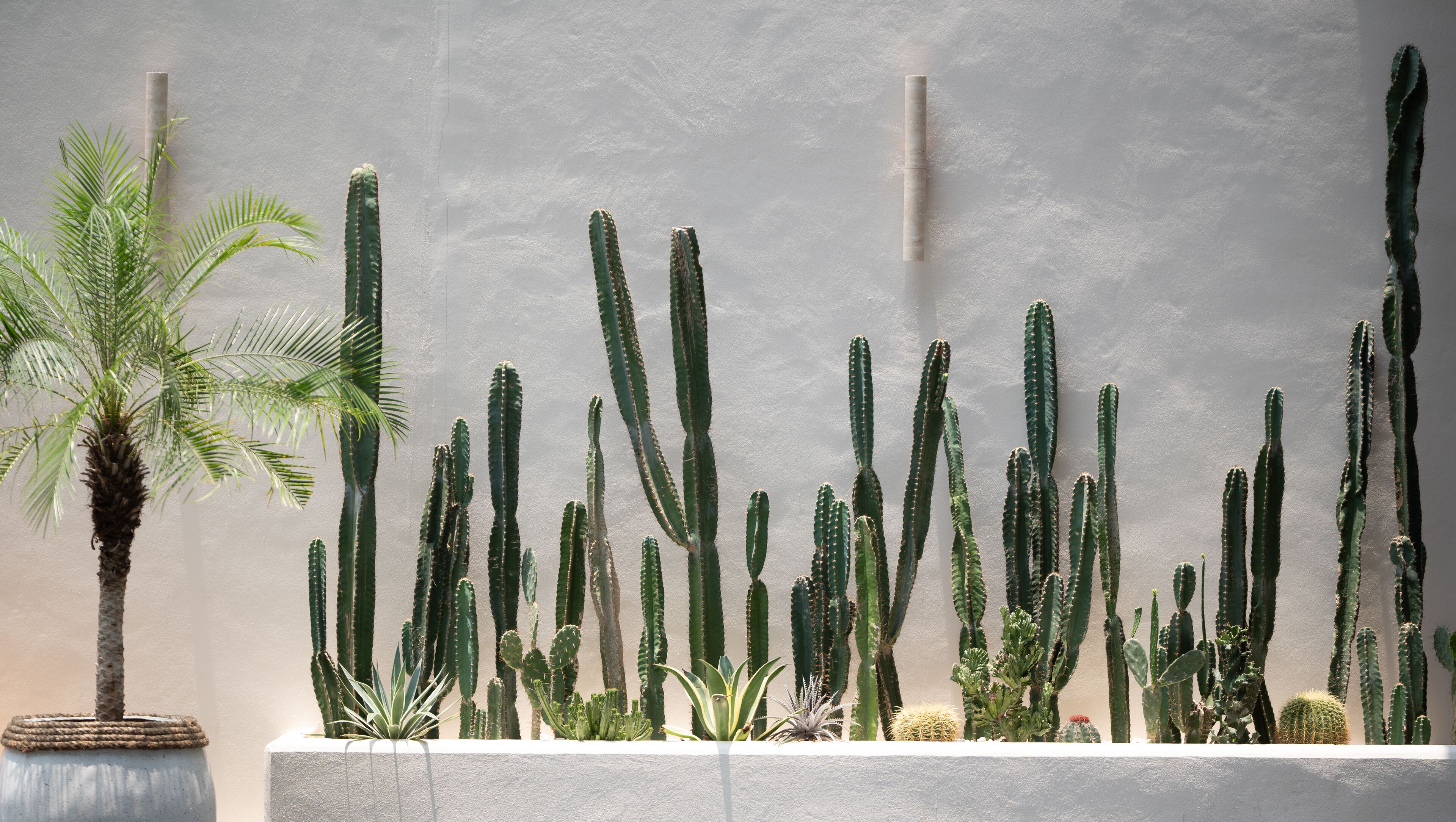 Photo - Beston Pattaya - SHA Plus Certified