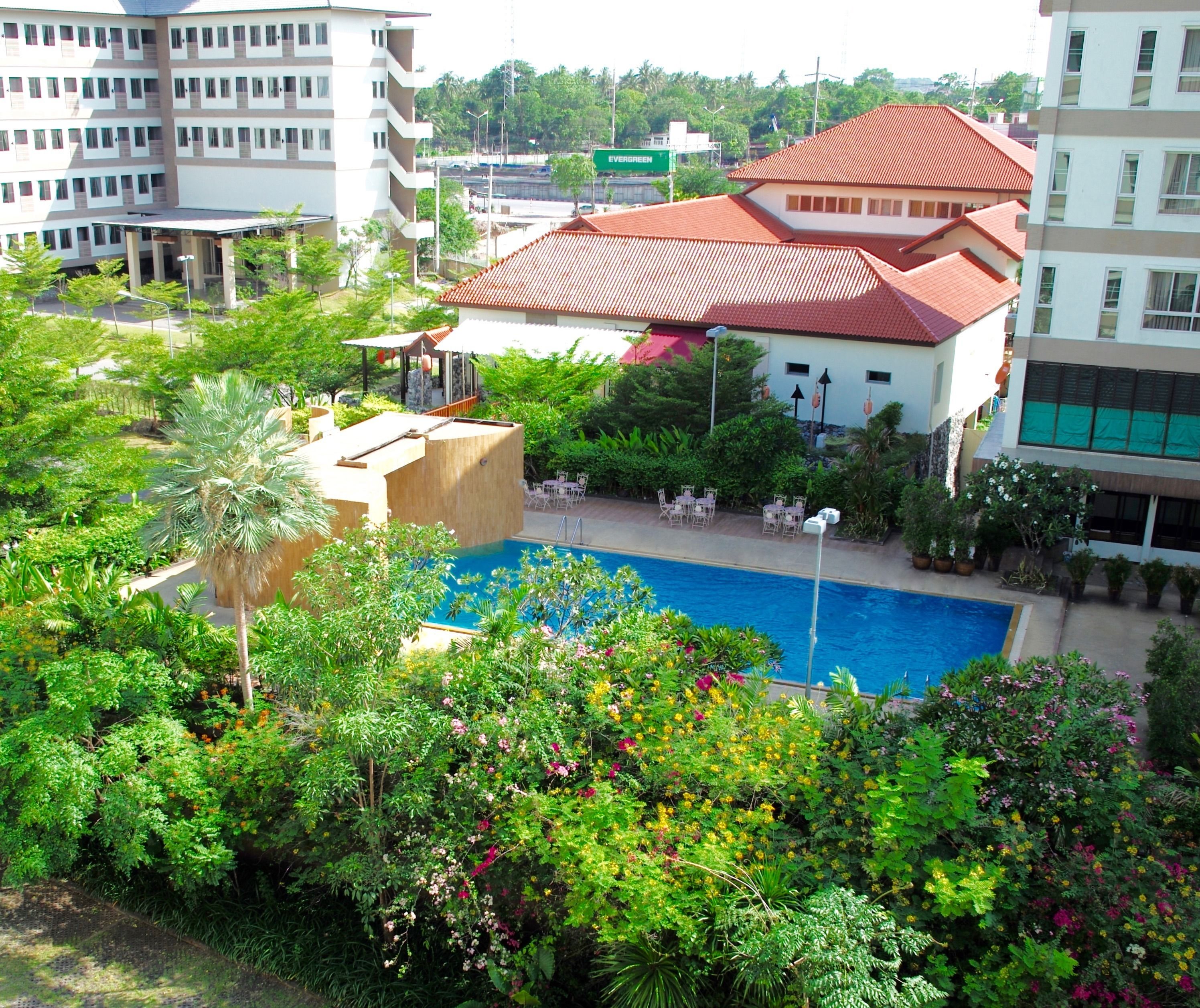 outdoor pool, pool loungers