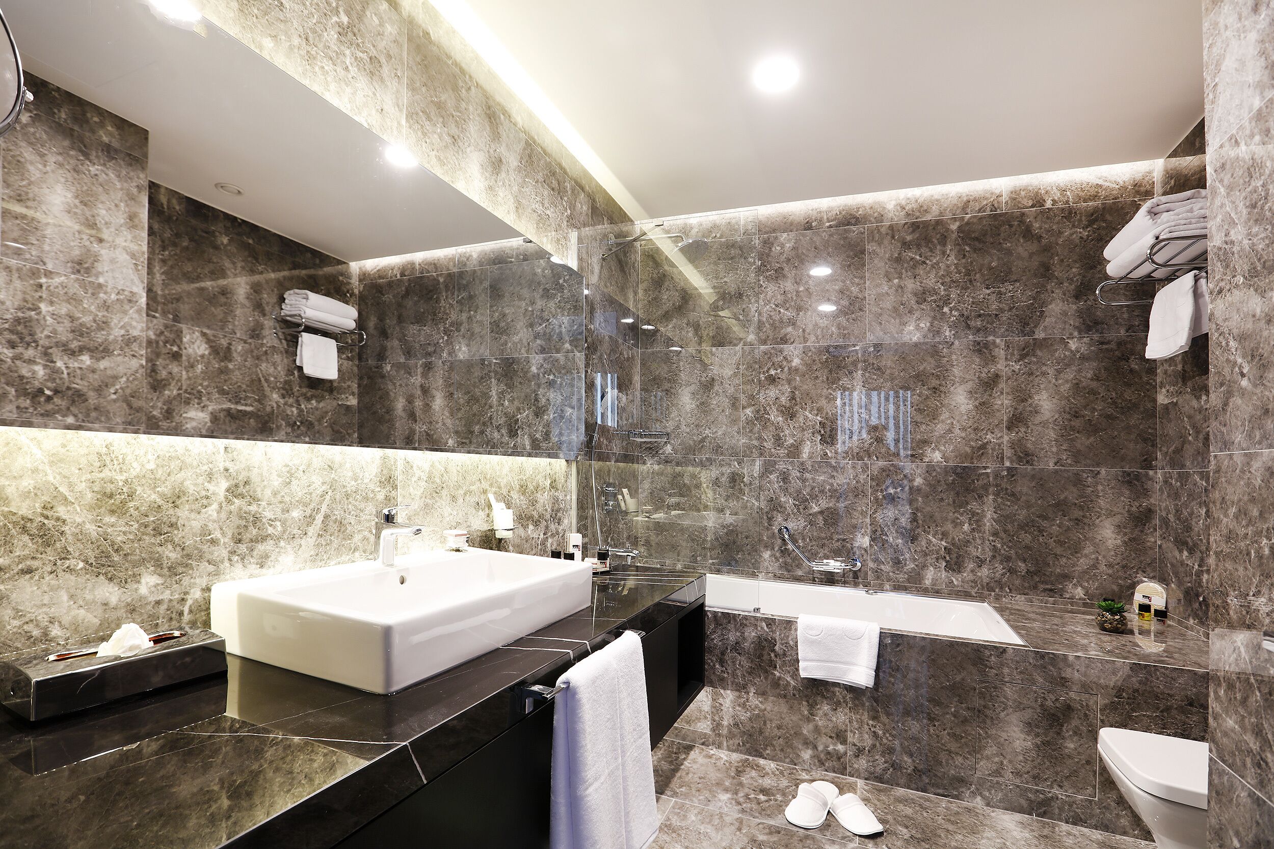 shower, rainfall showerhead, free toiletries, hair dryer