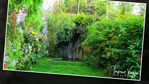 Un exuberante jardín con follaje denso y una pequeña fuente de agua.