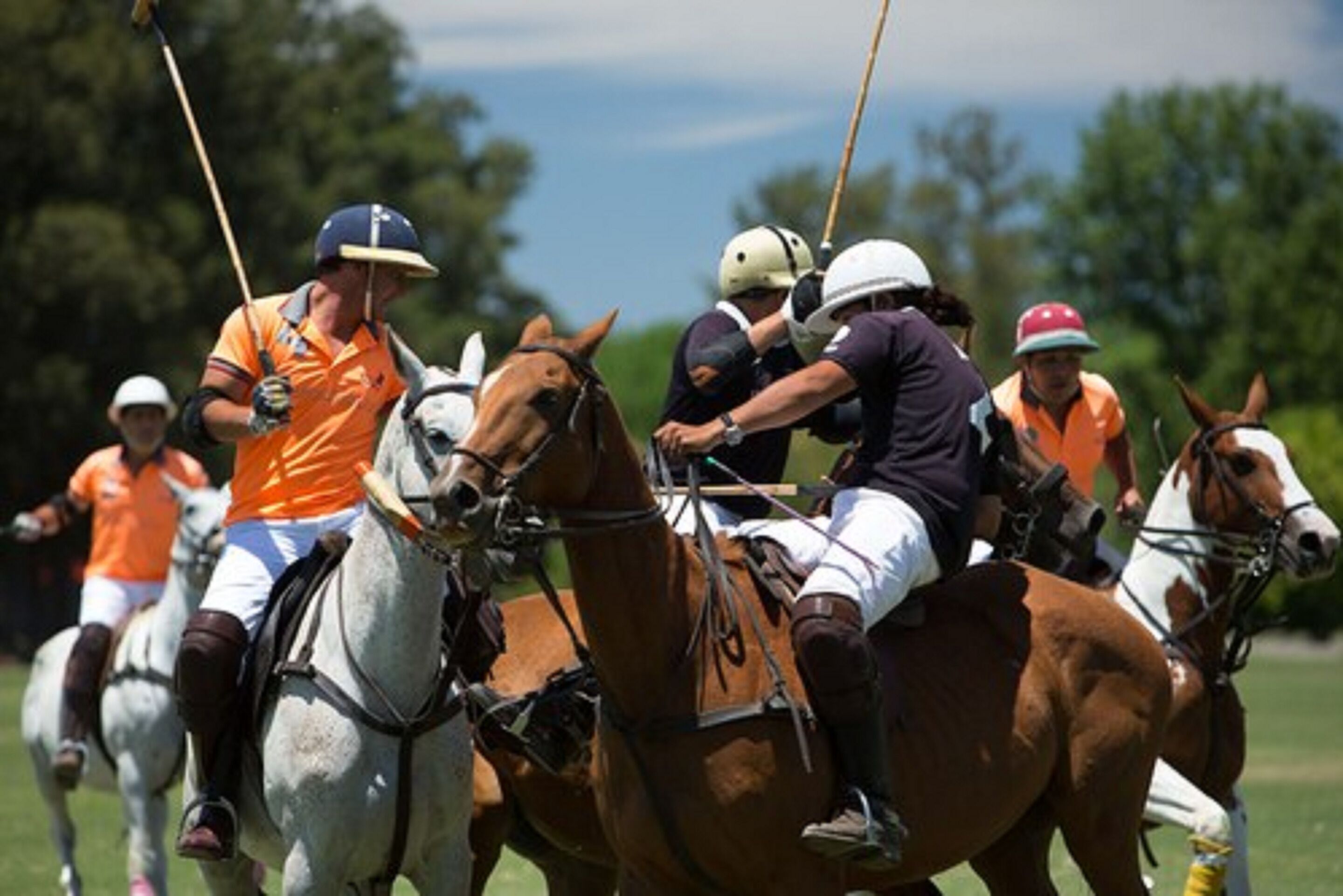 Foto - Milhouse Hostel Hipo