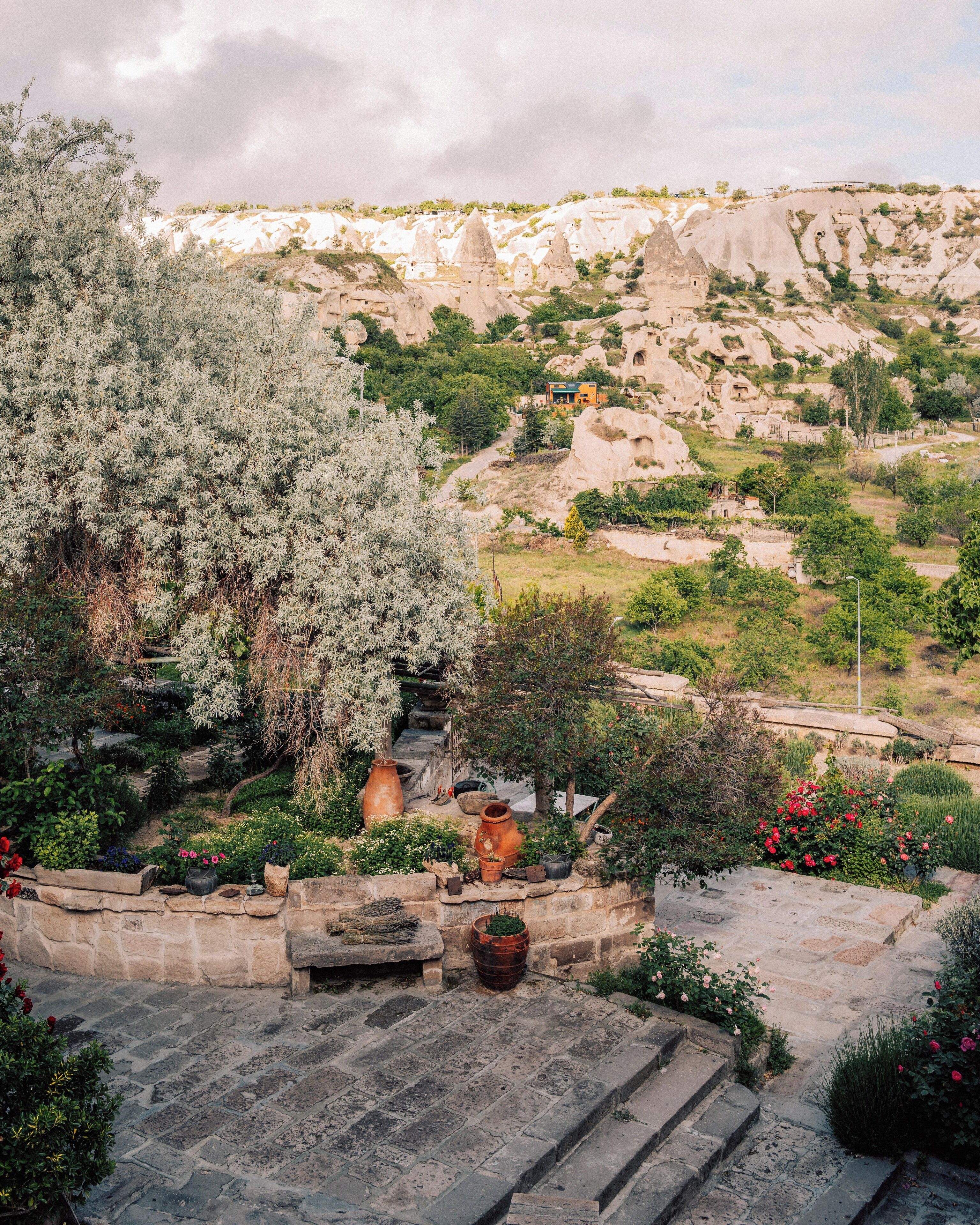 Jardin