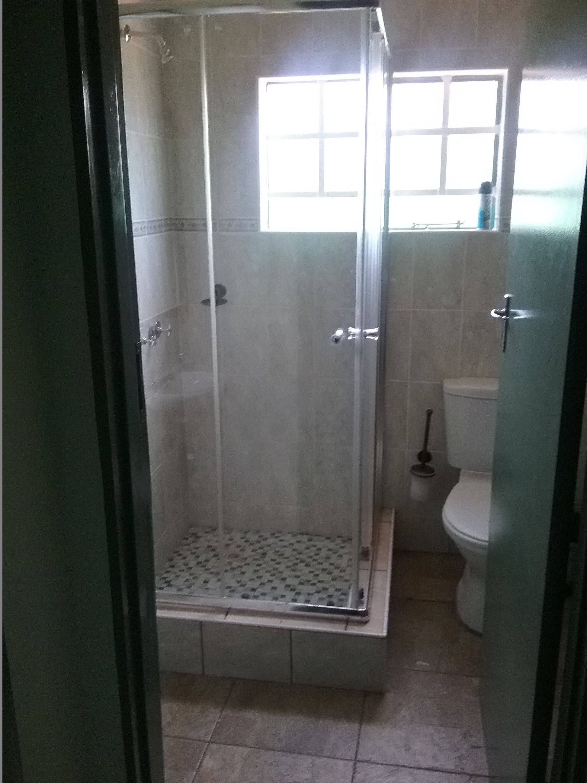 A bathroom with a glass-enclosed shower, a toilet, and a window.