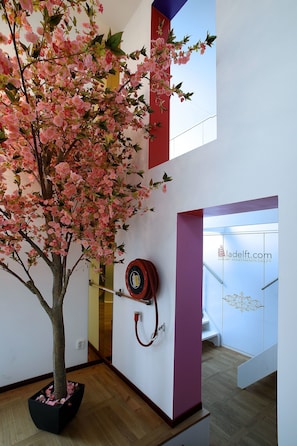 Un intérieur à plusieurs niveaux, agrémenté d’un arbre en pot et d’un tuyau rouge fixé au mur.