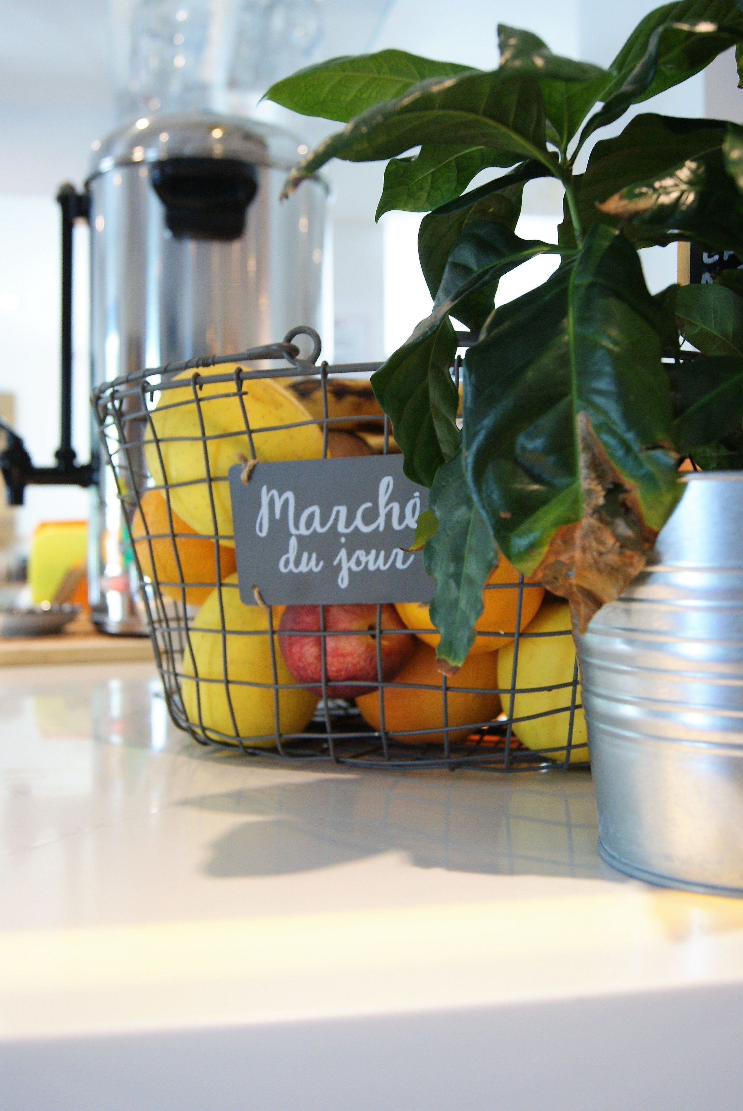 Una encimera de cocina con una cesta de frutas que contiene manzanas y naranjas, una cafetera y una planta en maceta.