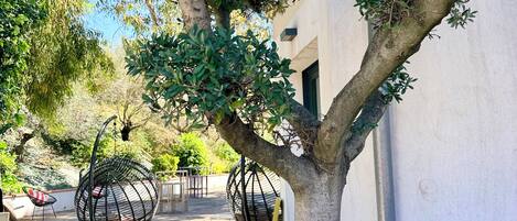 A tree in a planter with flowers, a hanging chair, and a building in the background.