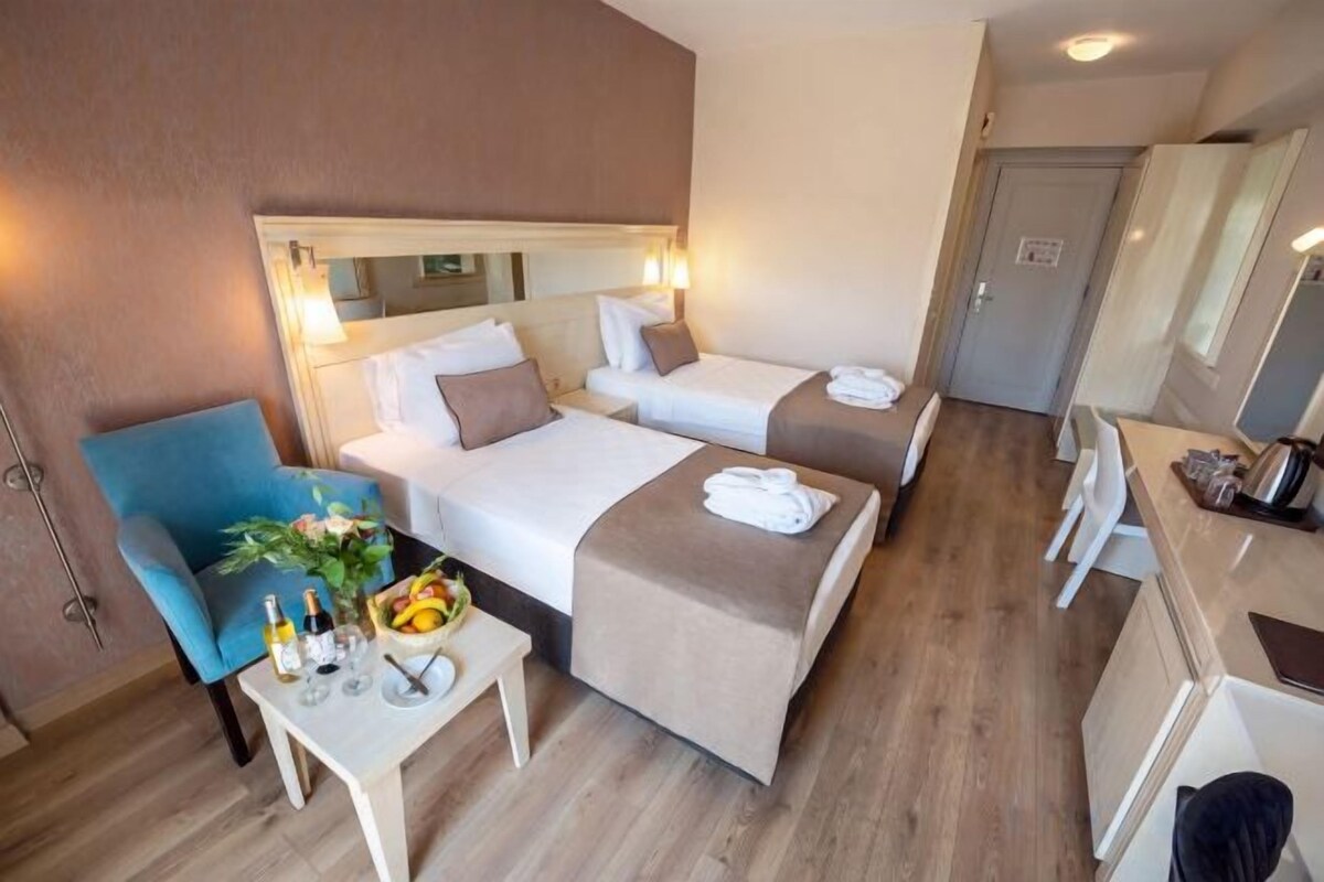 Minibar, in-room safe, desk, WiFi (free)