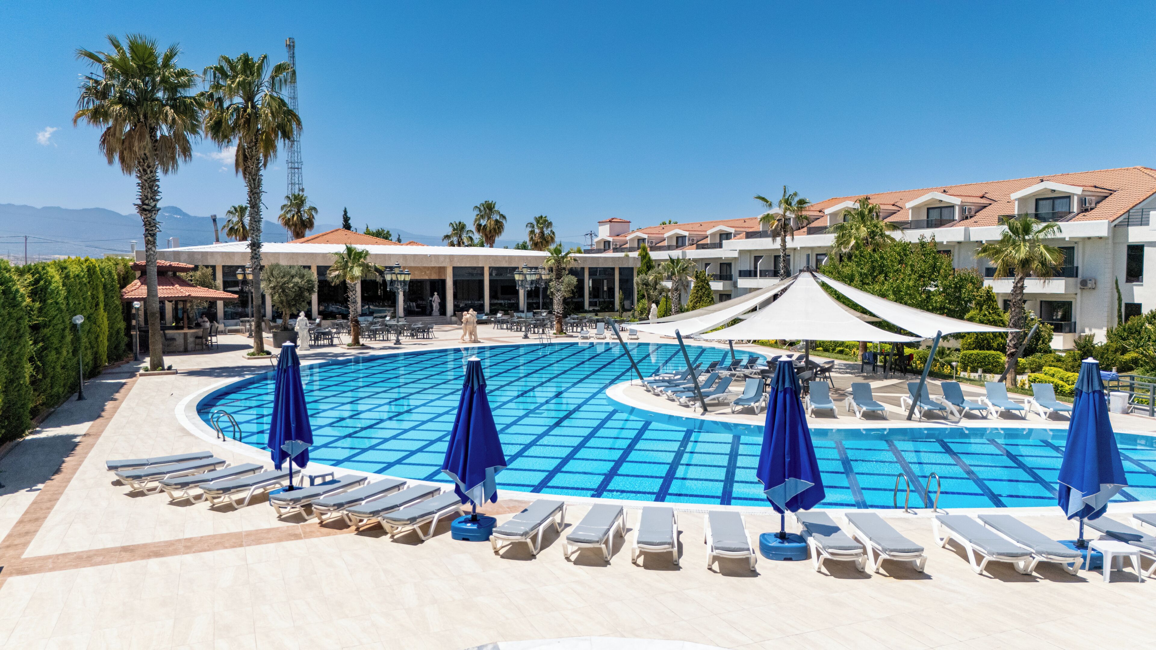 Piscina de resort con tumbonas y sombrillas, rodeada de palmeras y un cielo despejado.