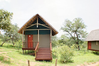 Lion Roars Lodge