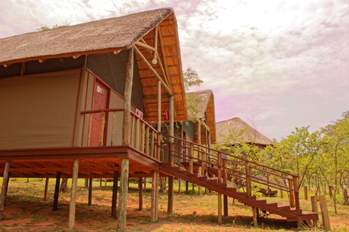 Lion Roars Lodge