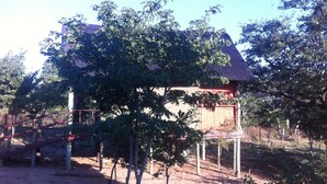 Una construcción rústica con tejado de paja, rodeada de árboles y suelo de tierra.