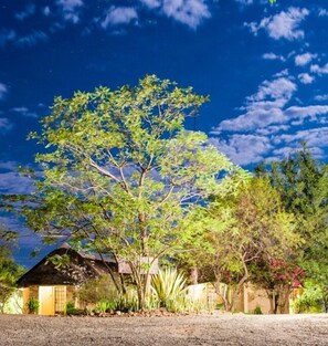 Property grounds - Lesoma Valley Lodge (Kasane)