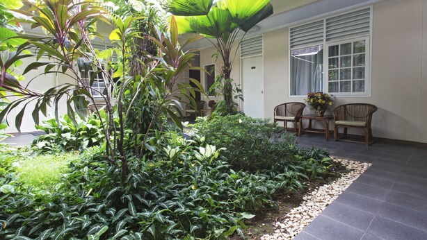 Un jardín bien cuidado con diversas plantas y un espacio de descanso con sillas de mimbre y una mesa.
