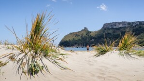 Una playa con dunas de arena, vegetación escasa y una colina rocosa al fondo.