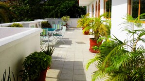 Una terraza en la azotea con mesa de billar, sillones de descanso y plantas en macetas.