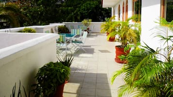 Terraza o patio