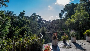 Un balcon agrémenté de plantes en pot et offrant une vue sur une forêt dense.