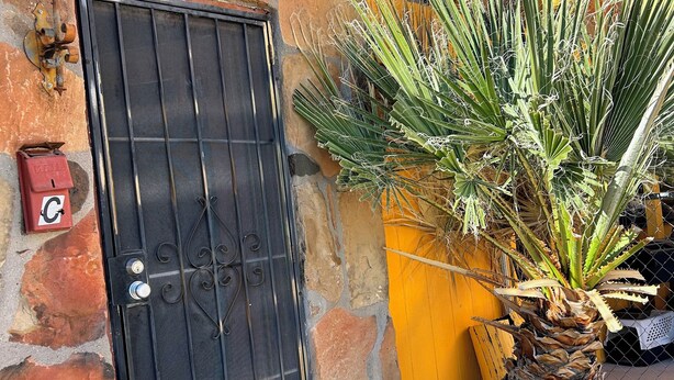 A stone wall with a black gate, a yellow wall, and a palm plant.