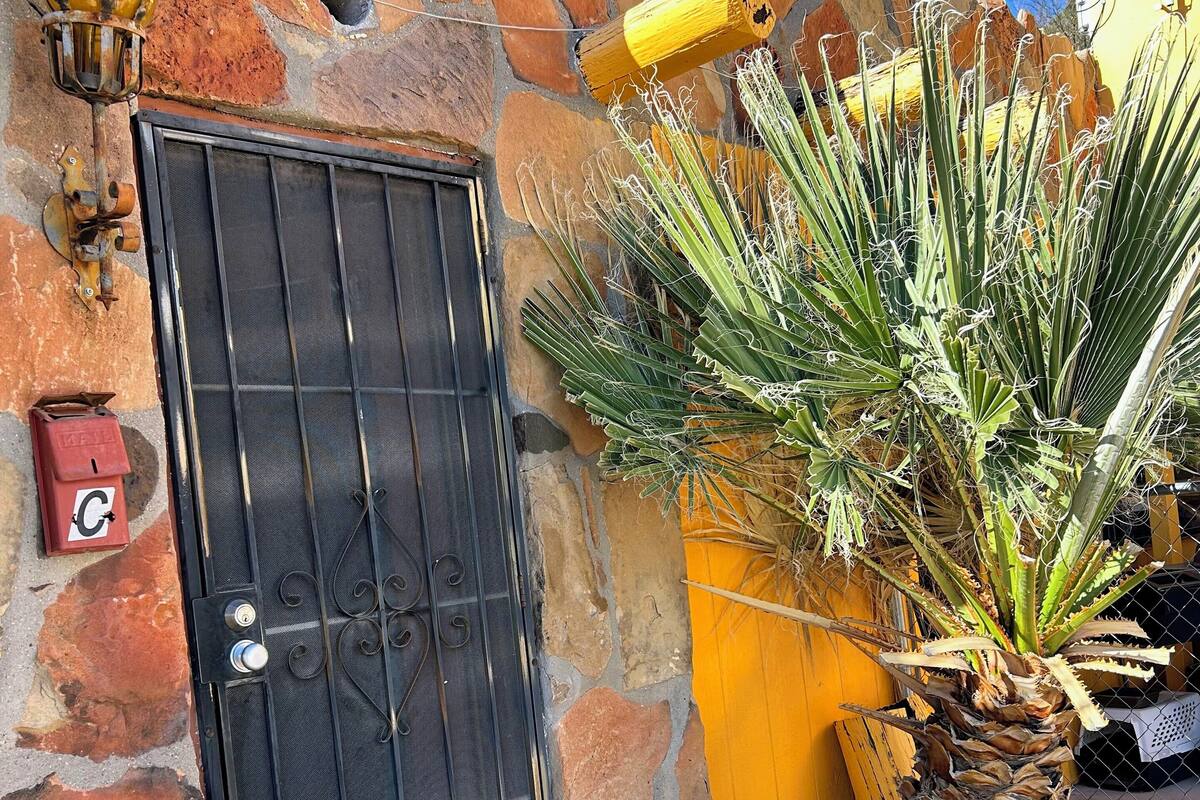 A stone wall with a black gate, a yellow wall, and a palm plant.