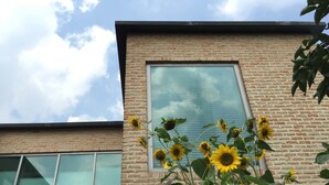 Garden - PuzzleStay House (Seoul)