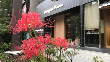 Property entrance