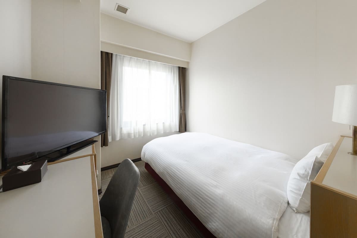 standard single room, non smoking | desk, laptop workspace, blackout curtains, iron/ironing board