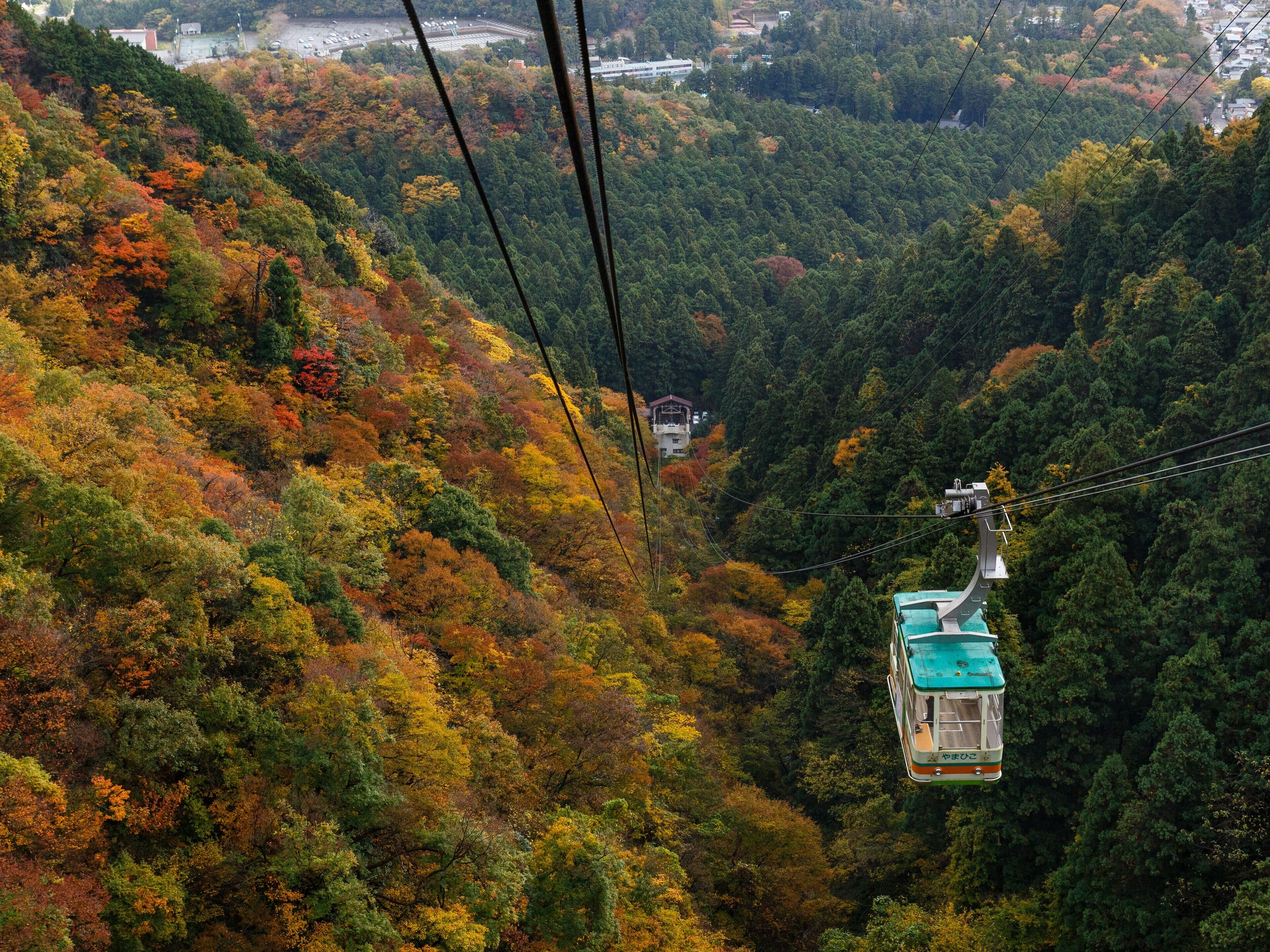 A cable car moving through a forested area with autumn foliage.