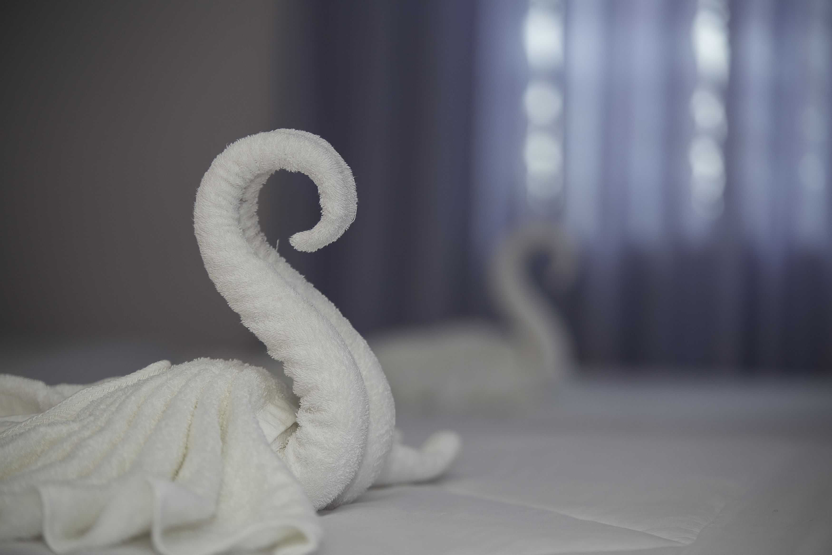 Photo - DV Angkor Villa