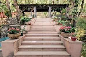 Jardín