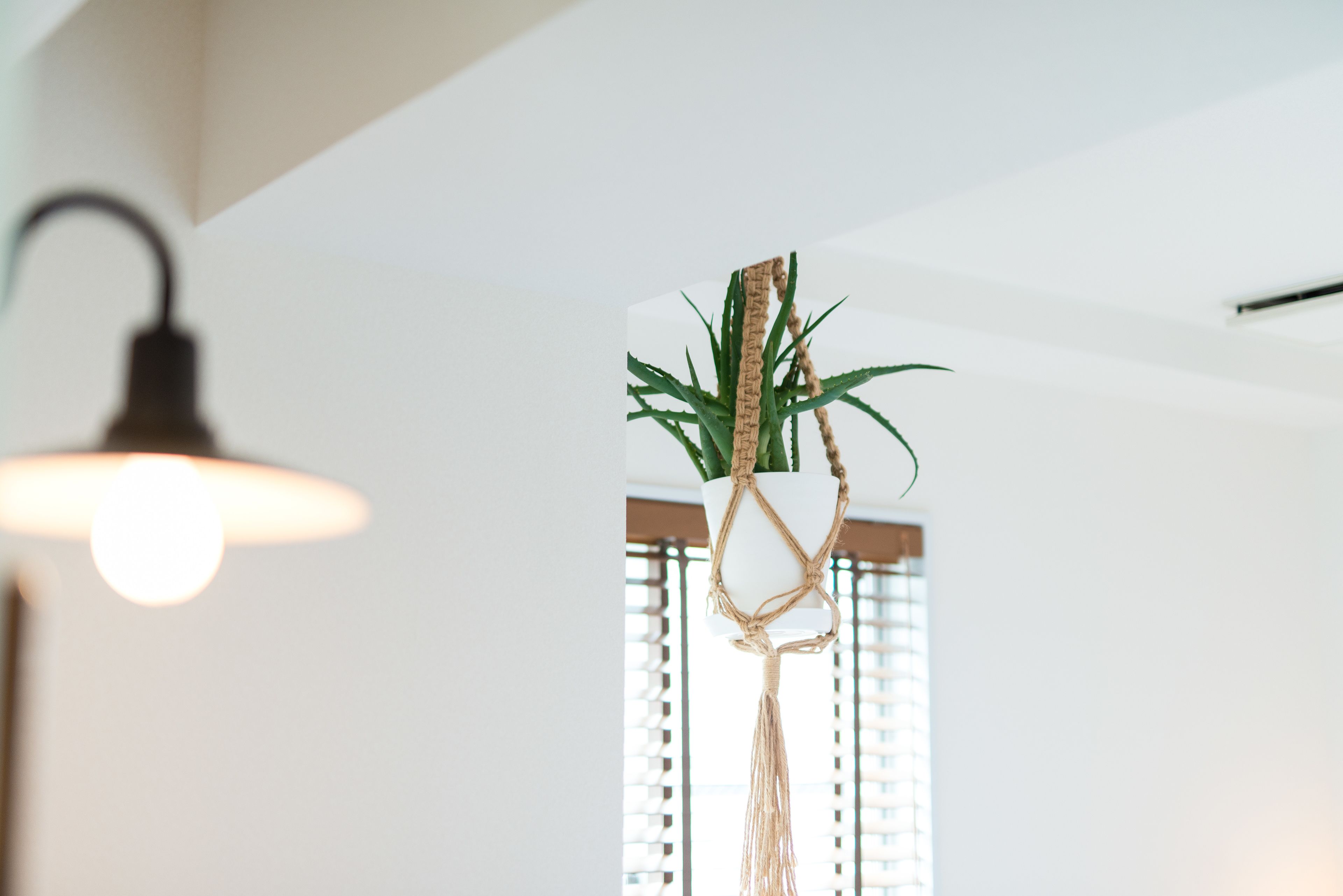 A hanging plant in a white pot with a macrame design, suspended from the ceiling in a room with white walls and a window with blinds.