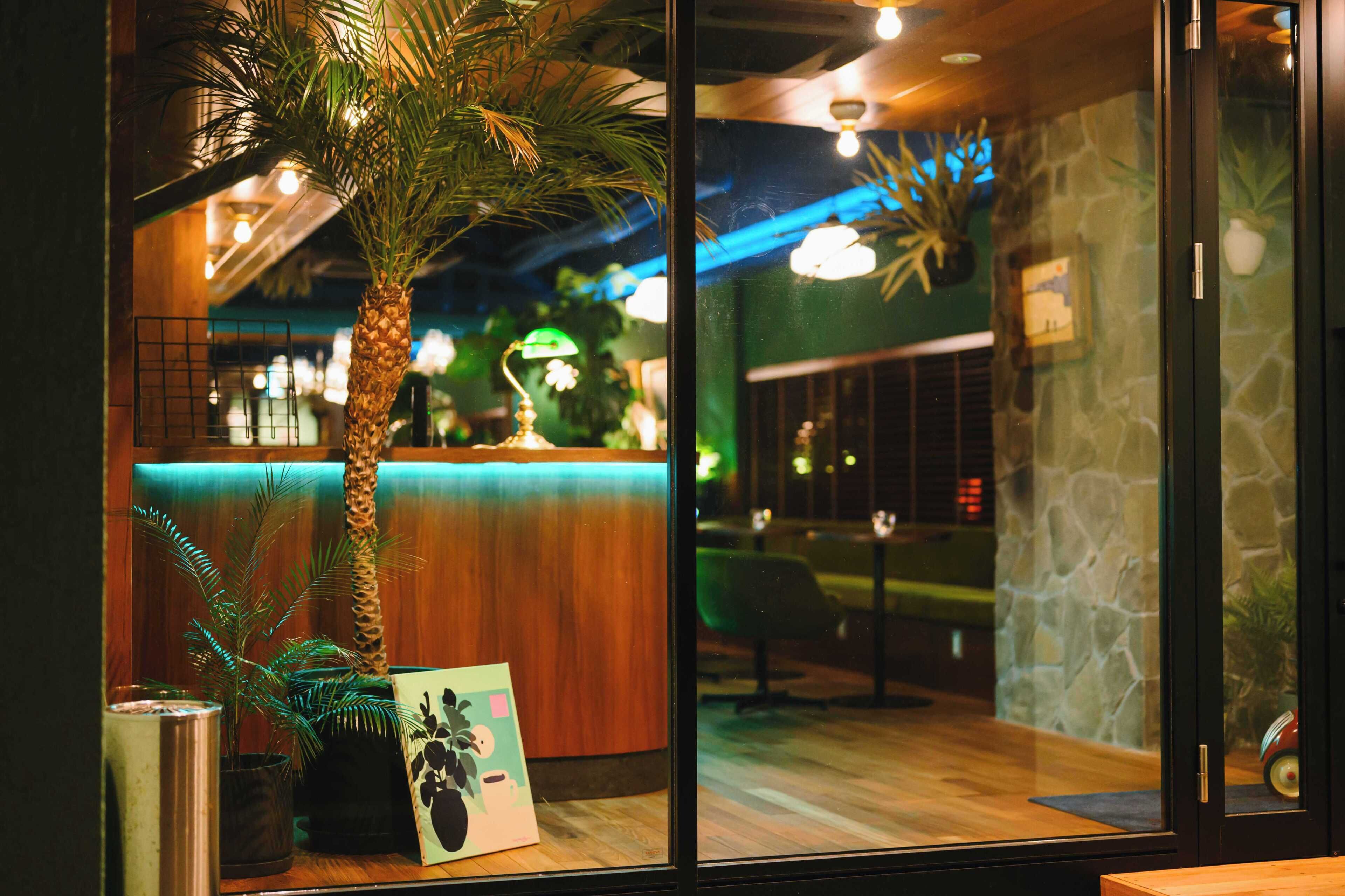 Un intérieur moderne avec un comptoir d’accueil en bois, une cloison en verre et un palmier.
