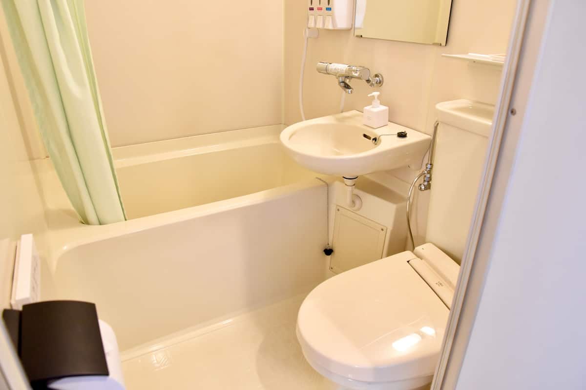 combined shower/bathtub, free toiletries, hair dryer, slippers