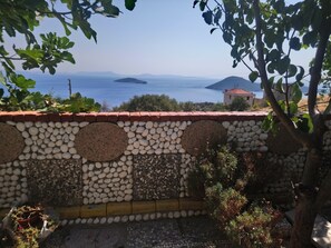 Vista al jardín