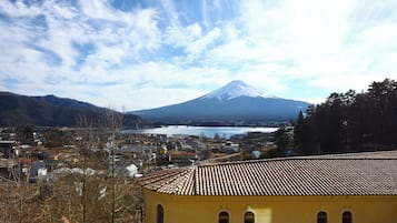 A view of a town with a mountain in the background.