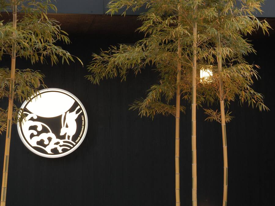 A logo with a stylized animal and waves, surrounded by tall bamboo plants.
