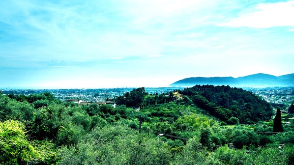 Un paisaje verde exuberante con un pueblo en el valle.