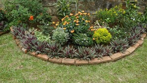 A garden with various plants and flowers, a stone wall in the background, and a grassy area in the foreground. - Dilray Villa (Harispattuwa)