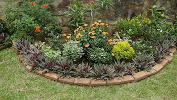 Jardin