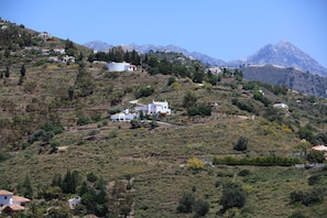 Área da propriedade