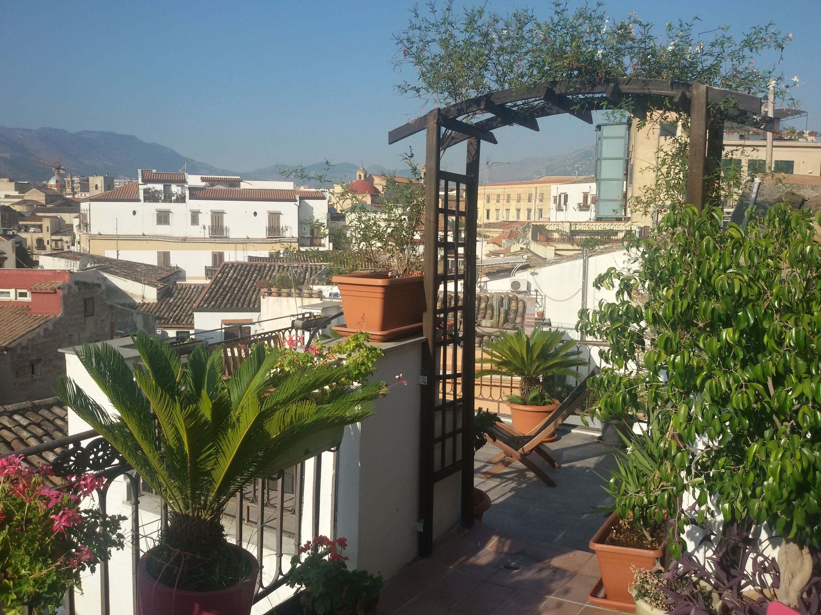 Eine Dachterrasse mit Topfpflanzen, einer Holzpergola und Blick auf die Stadtlandschaft.