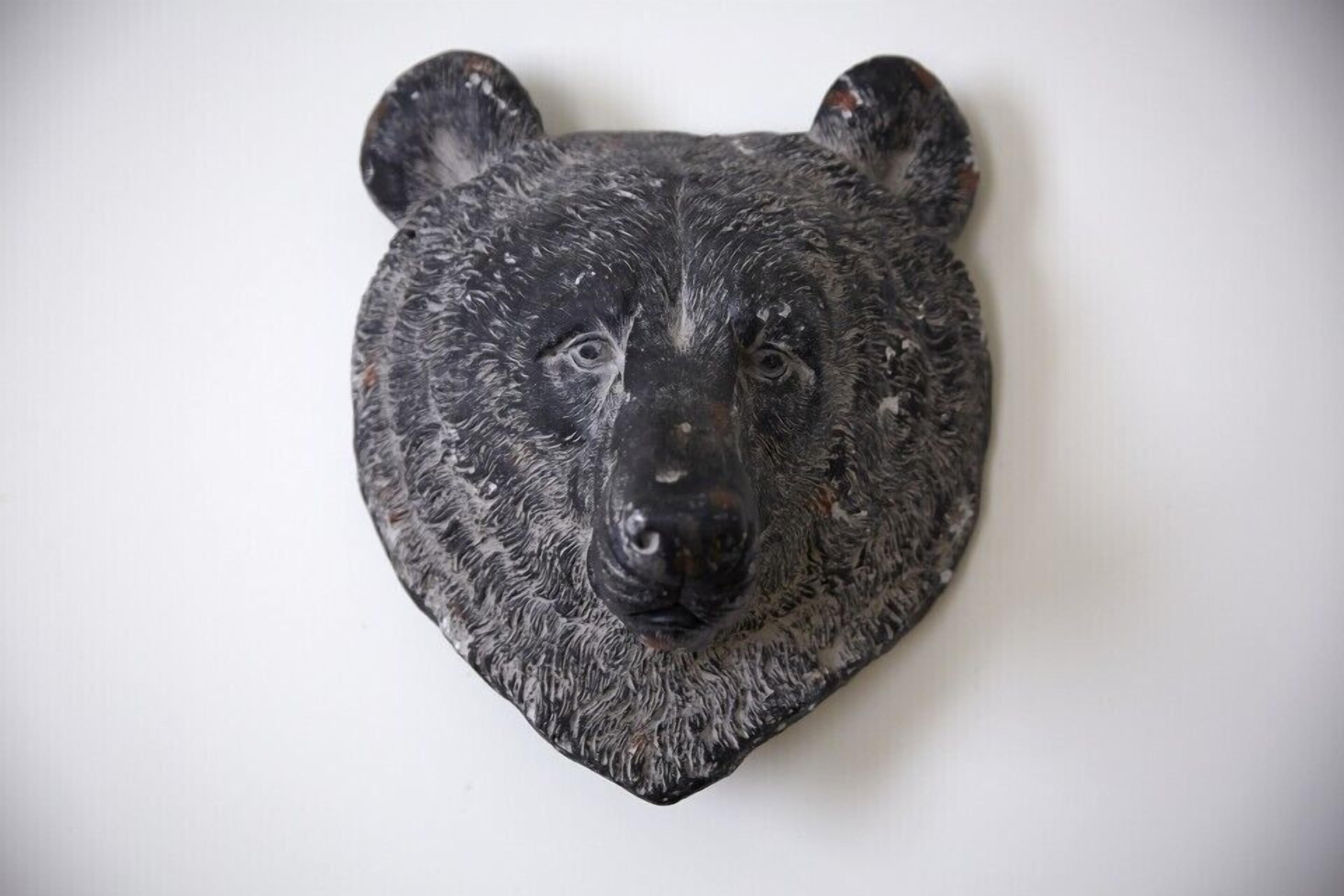 A bear head mounted on a wall.